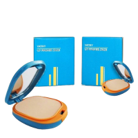 VATINY UV POWDER CAKE